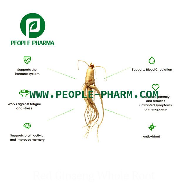 White Panax Ginseng Main Roots